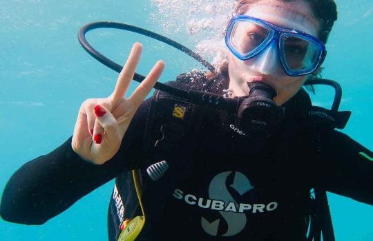 חנות ציוד צלילה, SEAWAVE2