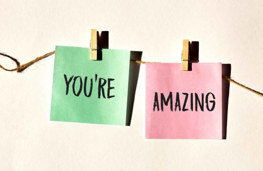 מדבקות קיר2