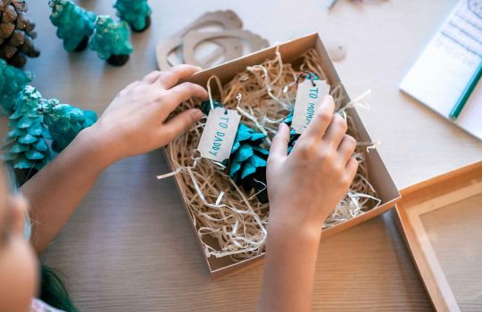 מתנות לגני ילדים2